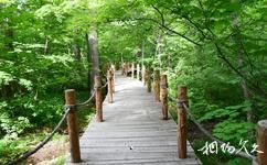 白山露水河国家森林公园旅游攻略之七夕桥