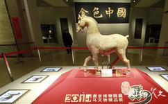 南京博物院旅遊攻略之新展
