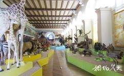 法國馬賽市旅遊攻略之自然歷史博物館