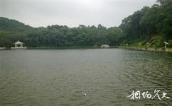 暨南大学校园概况之日月湖水景