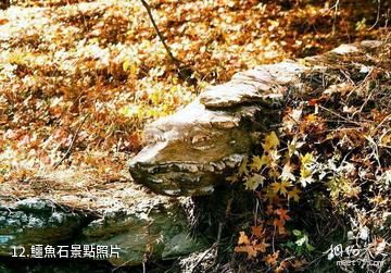 陝西南宮山國家森林公園-鱷魚石照片