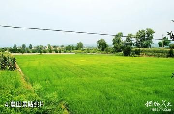 湖南安江農校紀念園-農田照片
