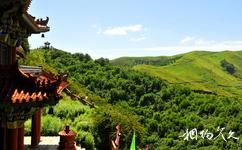 寧夏西吉火石寨國家地質公園旅遊攻略之森林