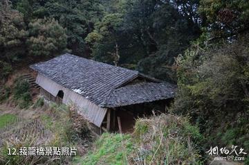 福建茫盪山風景區-接龍橋照片