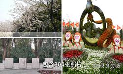 上海顾村公园驴友相册