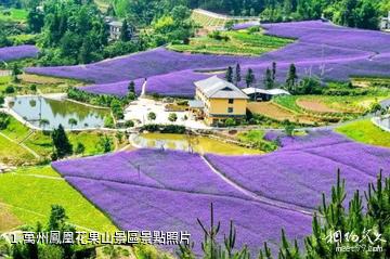 萬州鳳凰花果山景區照片