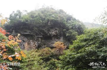 安徽宁国夏霖风景区-深林绝壁照片