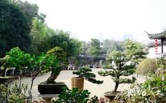 南京瞻園旅遊攻略之盆景園