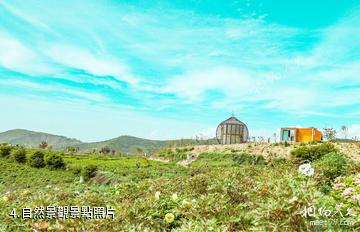 臨洮南屏山生態旅遊景區-自然景觀照片