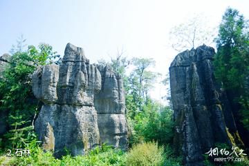 兴文僰人巨石阵景区-石林照片