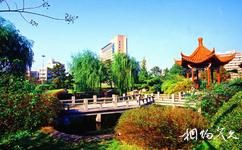 浙江工业大学校园概况之绿园