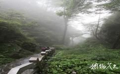 广西大明山国家级自然保护区旅游攻略之秀峰古隘