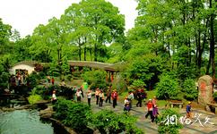 重慶南山植物園旅遊攻略之盆景園
