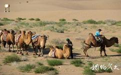 武威沙漠公园旅游攻略之跑马赛驼场