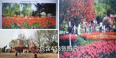 西安植物园驴友相册