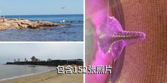 北戴河碧螺塔酒吧公园驴友相册
