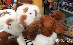 秘鲁利马市旅游攻略之驼羊毛绒玩具