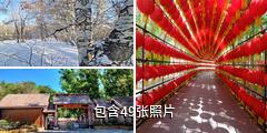 阿勒泰桦林公园驴友相册