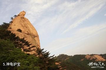 嘉禾九老峰景区-神龟护宝照片