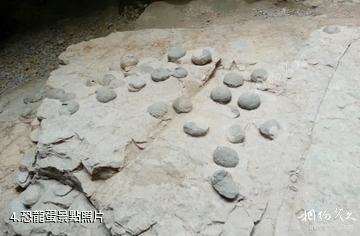 鄖陽青龍山恐龍蛋化石群國家地質公園-恐龍蛋照片