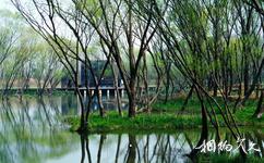 扬州凤凰岛生态旅游攻略之聚风岛