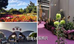 烏魯木齊植物園驢友相冊