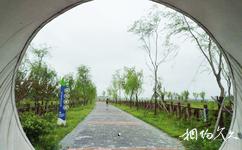 西咸沣东沣河生态旅游攻略之园路