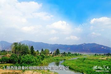 陕西陇县秦岭细鳞鲑国家级自然保护区照片