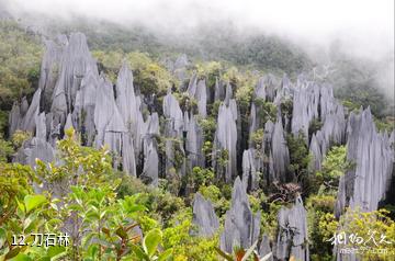 马来西亚姆禄国家公园-刀石林照片