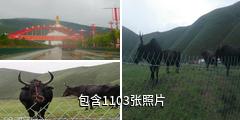 中甸纳帕海驴友相册