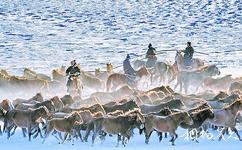 内蒙古科尔沁草原旅游攻略之冬季草原