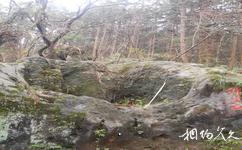 安庆莲洞国家森林公园旅游攻略之佛坐石