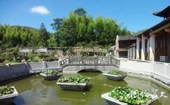 福建寿宁三峰寺旅游攻略之放生池