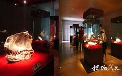 自贡恐龙博物馆旅游攻略之珍品厅