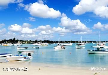 毛里求斯大湾照片