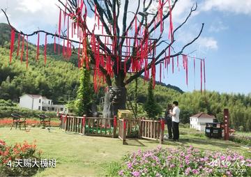 潜山天仙峡景区-天赐大槐树照片