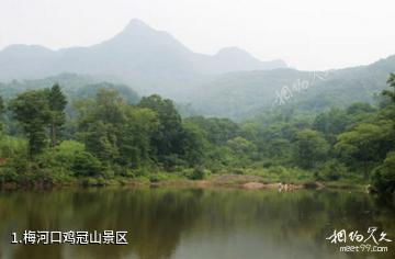 梅河口鸡冠山景区照片