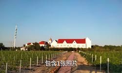 玛纳斯香海庄园驴友相册