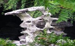 揚州個園旅遊攻略之魚骨石