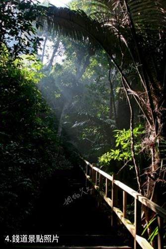 海南霸王嶺國家森林公園-錢道照片