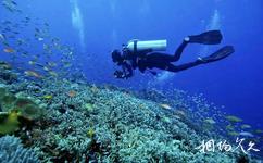 三亚亚龙湾海底世界旅游攻略之潜水