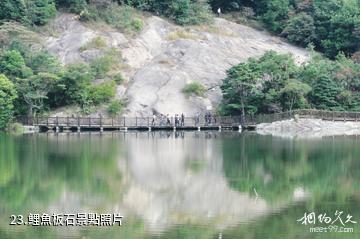 廣州從化石門國家森林公園-鯉魚板石照片
