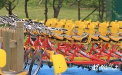 锦州世界园林博览会旅游攻略之自行车