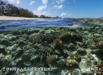 伊利特夫人島海底風光照片