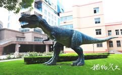 石家莊經濟學院地球科學博物館旅遊攻略之恐龍像