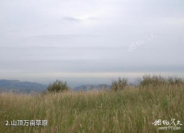 卫辉跑马岭地质公园-山顶万亩草原照片