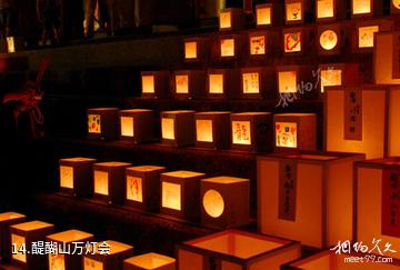 日本醍醐寺-醍醐山万灯会照片