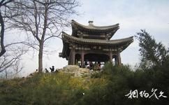 北京玉淵潭公園旅遊攻略之中山島
