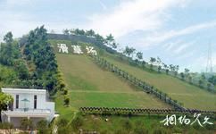 惠州永記生態園旅遊攻略之滑草場