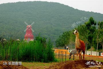 北方森林动物园-长颈鹿馆照片